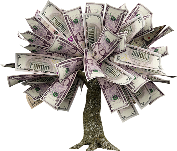 Insurance Boca Raton