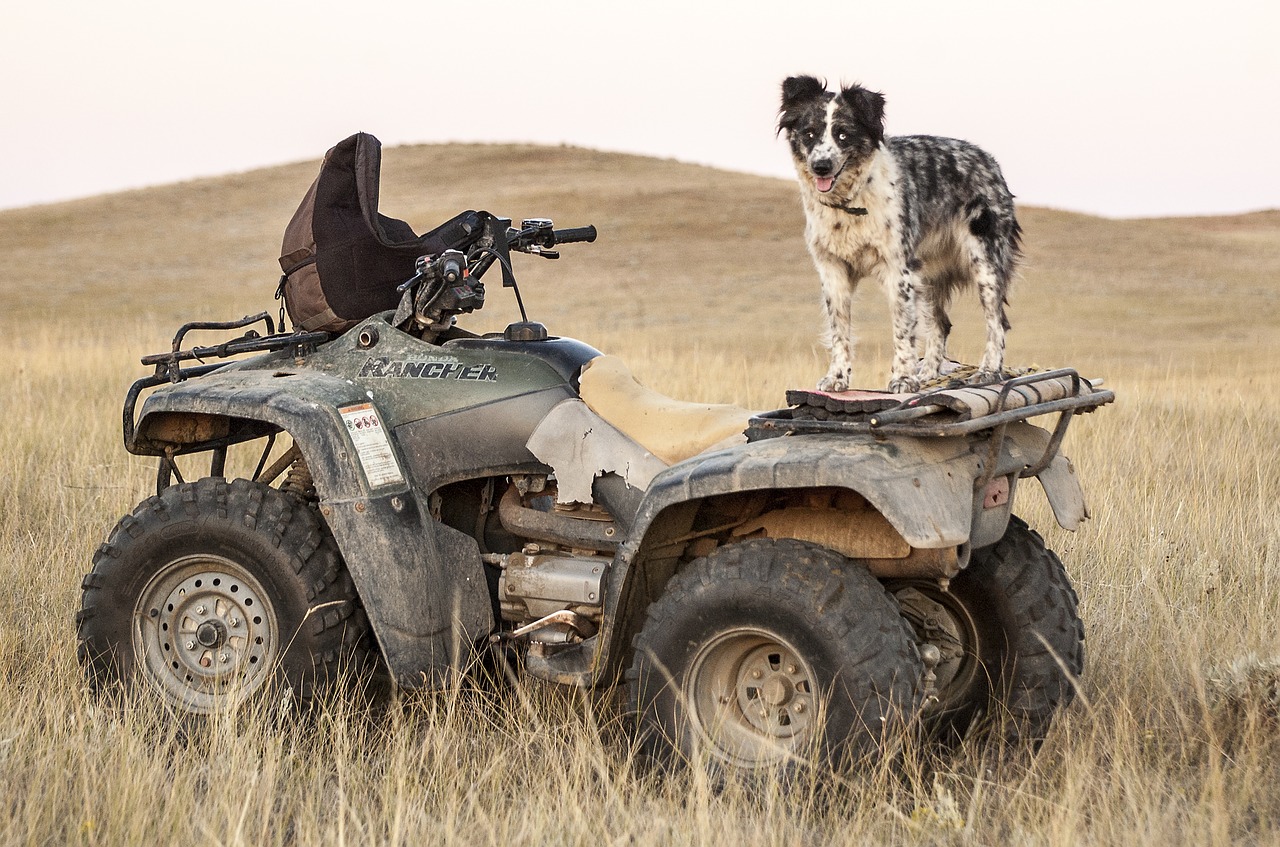 Outdoor Enthusiasts, Consider Bundling Your RV, Auto And Adventure Toy Insurance