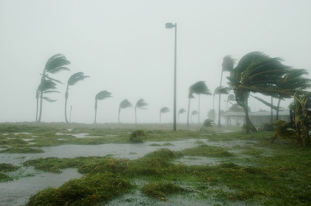 How Climate Change Is Affecting The Insurance Industry