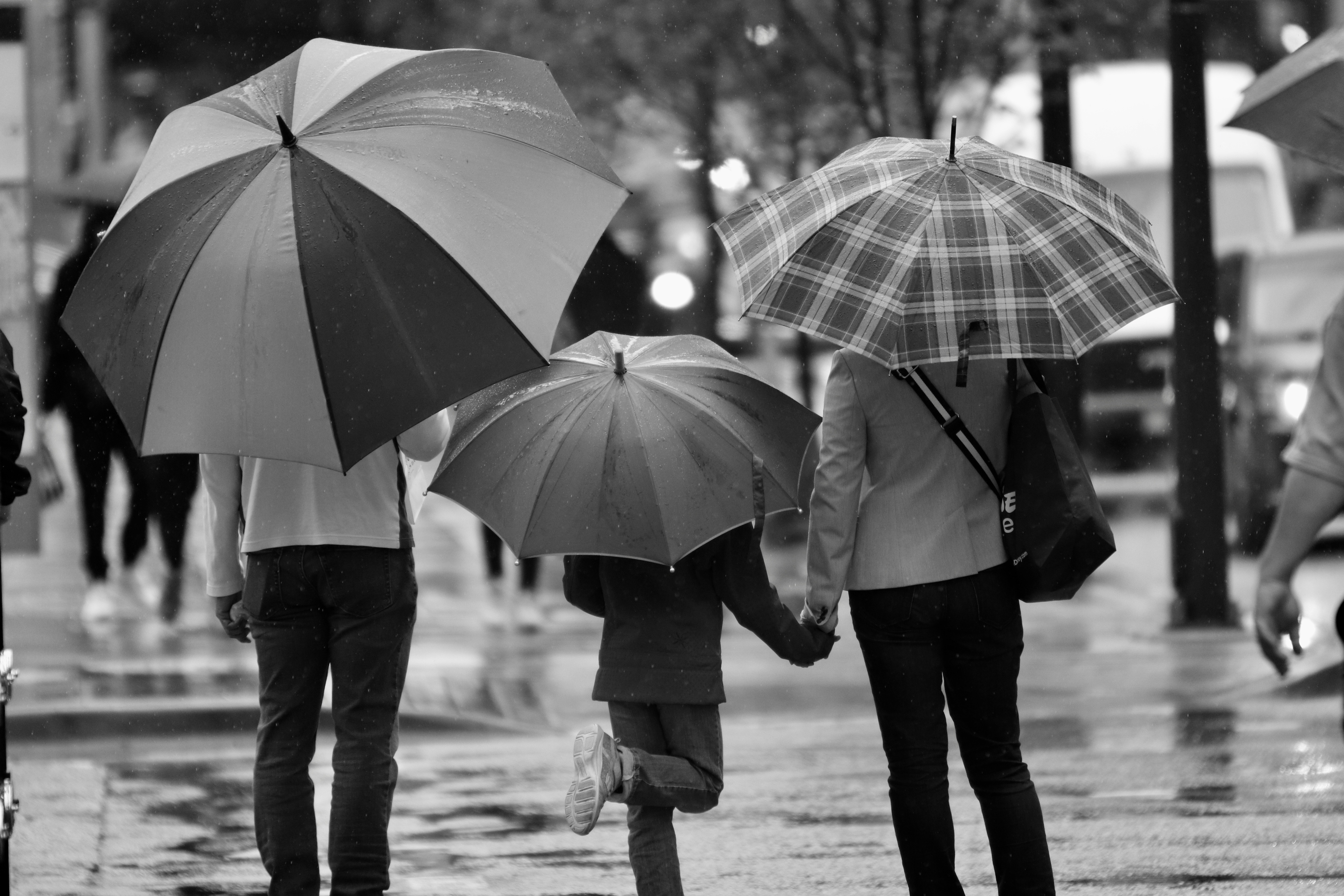 Umbrella Insurance